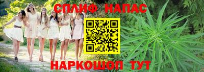 амф Гусь-Хрустальный