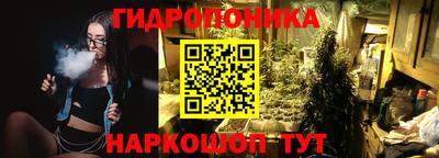 амф Гусь-Хрустальный
