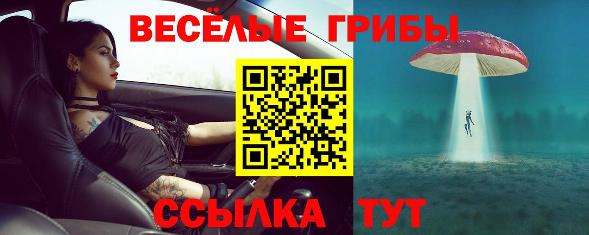 Псилоцибиновые грибы Cubensis Вятские Поляны